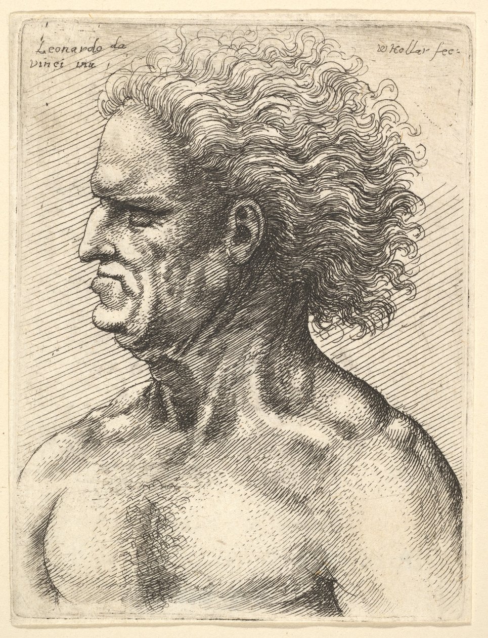 Huvudet av en muskulös gubbe i profil till vänster med flödande hår, 1625-77. av Wenceslaus Hollar