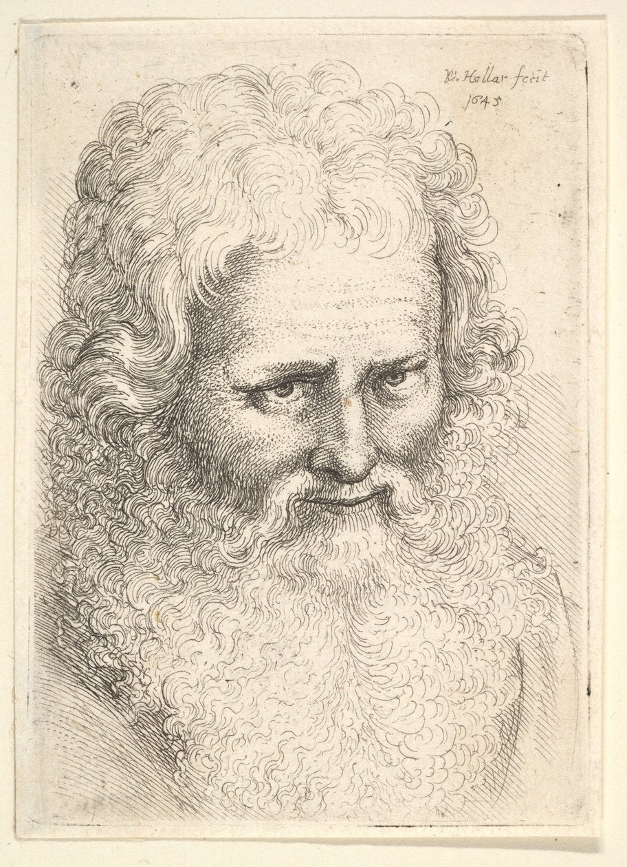 Huvud av en gammal man med stort skägg, 1645. av Wenceslaus Hollar
