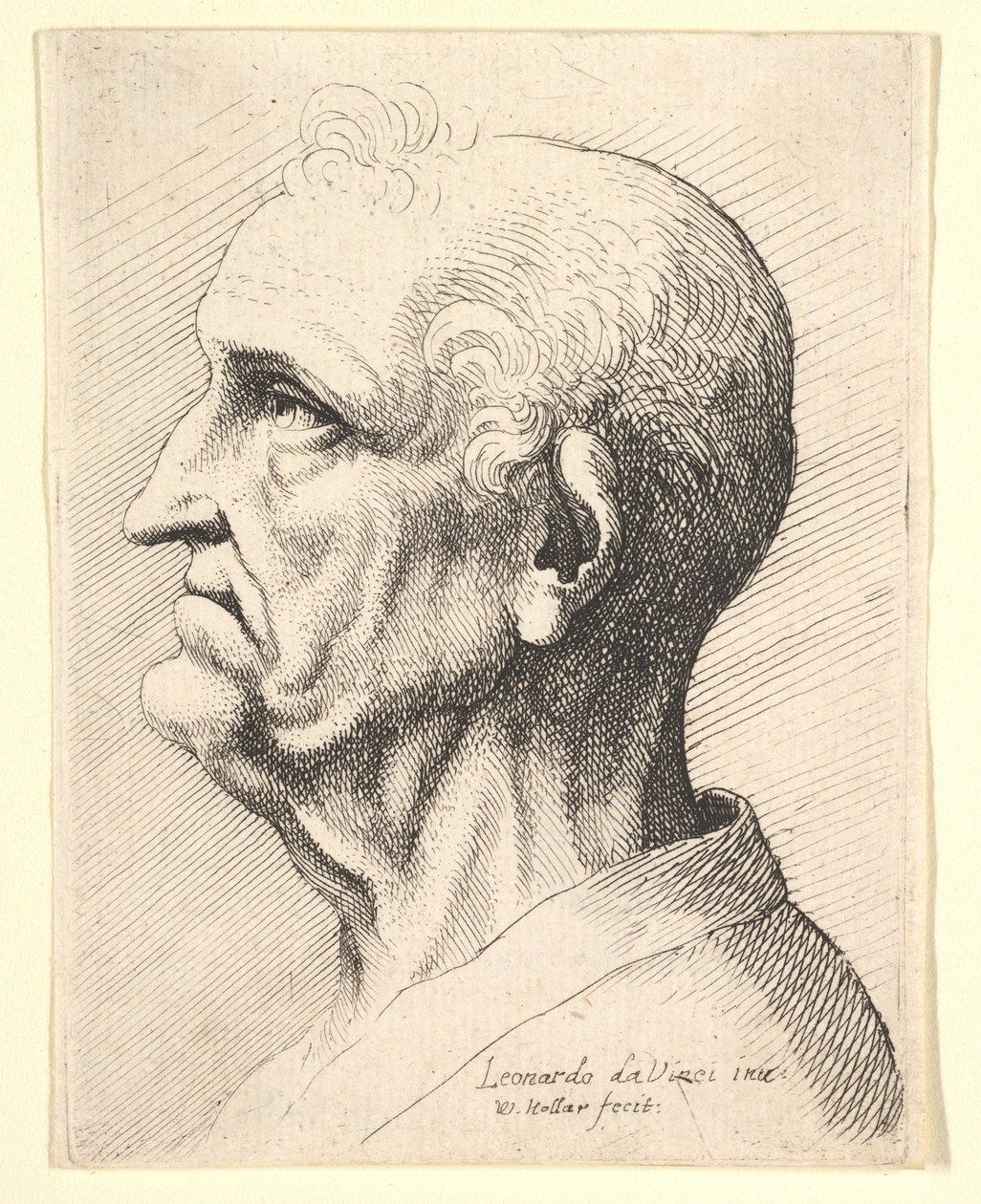 Huvud av en gammal man med lockigt hår runt örat i profil till vänster, 1644-52. av Wenceslaus Hollar
