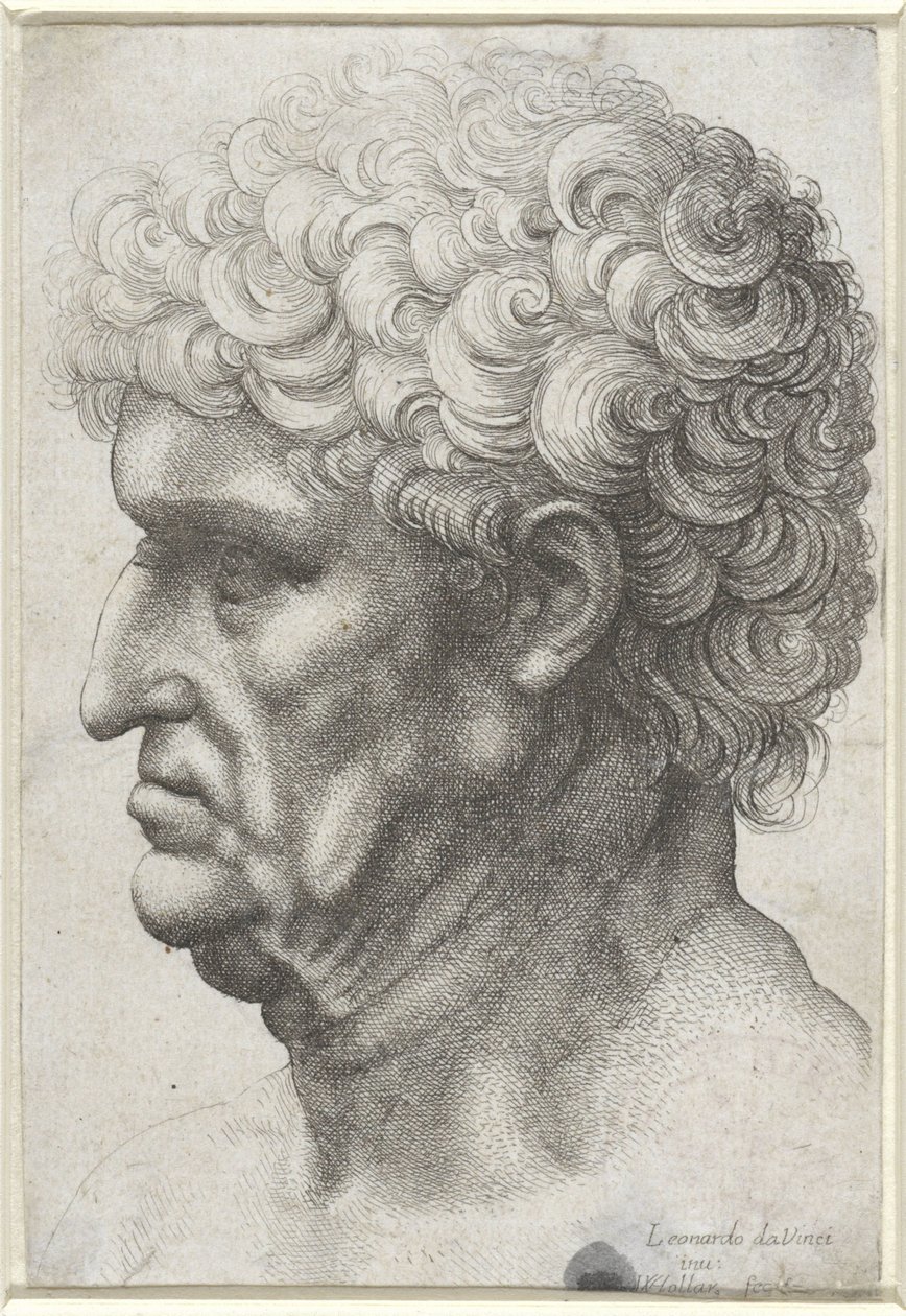 Mannens huvud med lockigt hår, i profil av Wenceslaus Hollar