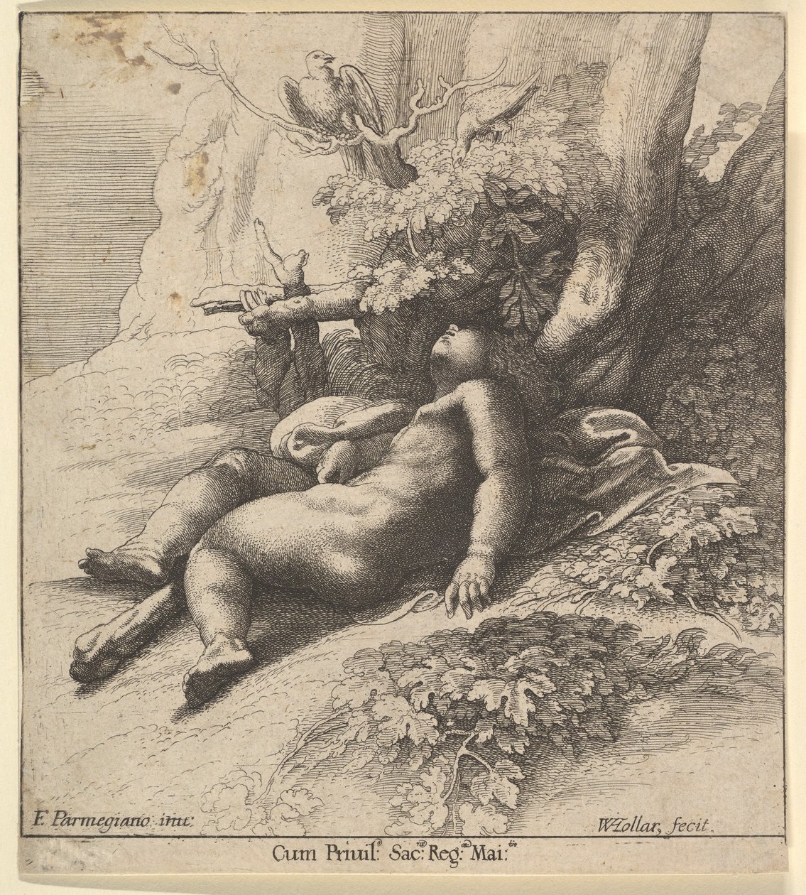 Spädbarnet Herkules sovande, 1625-77. av Wenceslaus Hollar