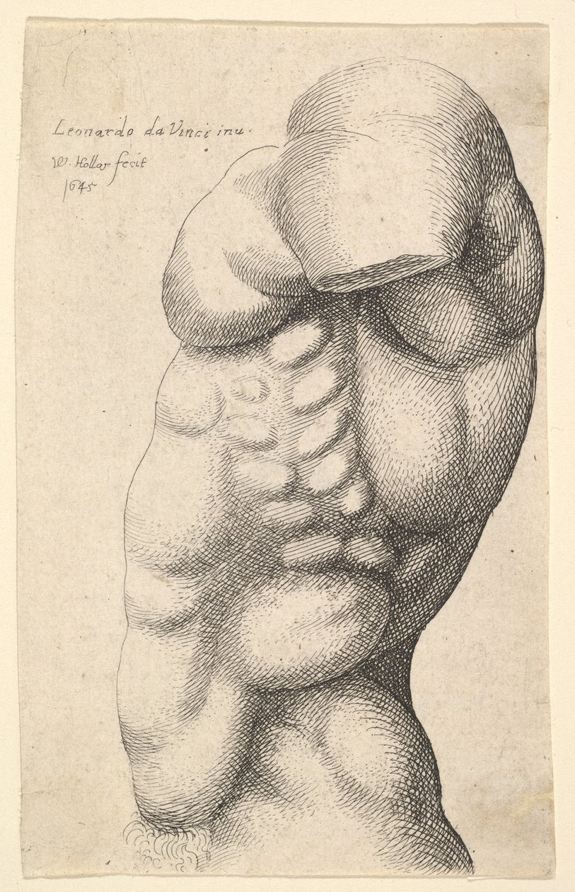 Manlig bål från nacke till höft i profil till vänster, 1645. av Wenceslaus Hollar