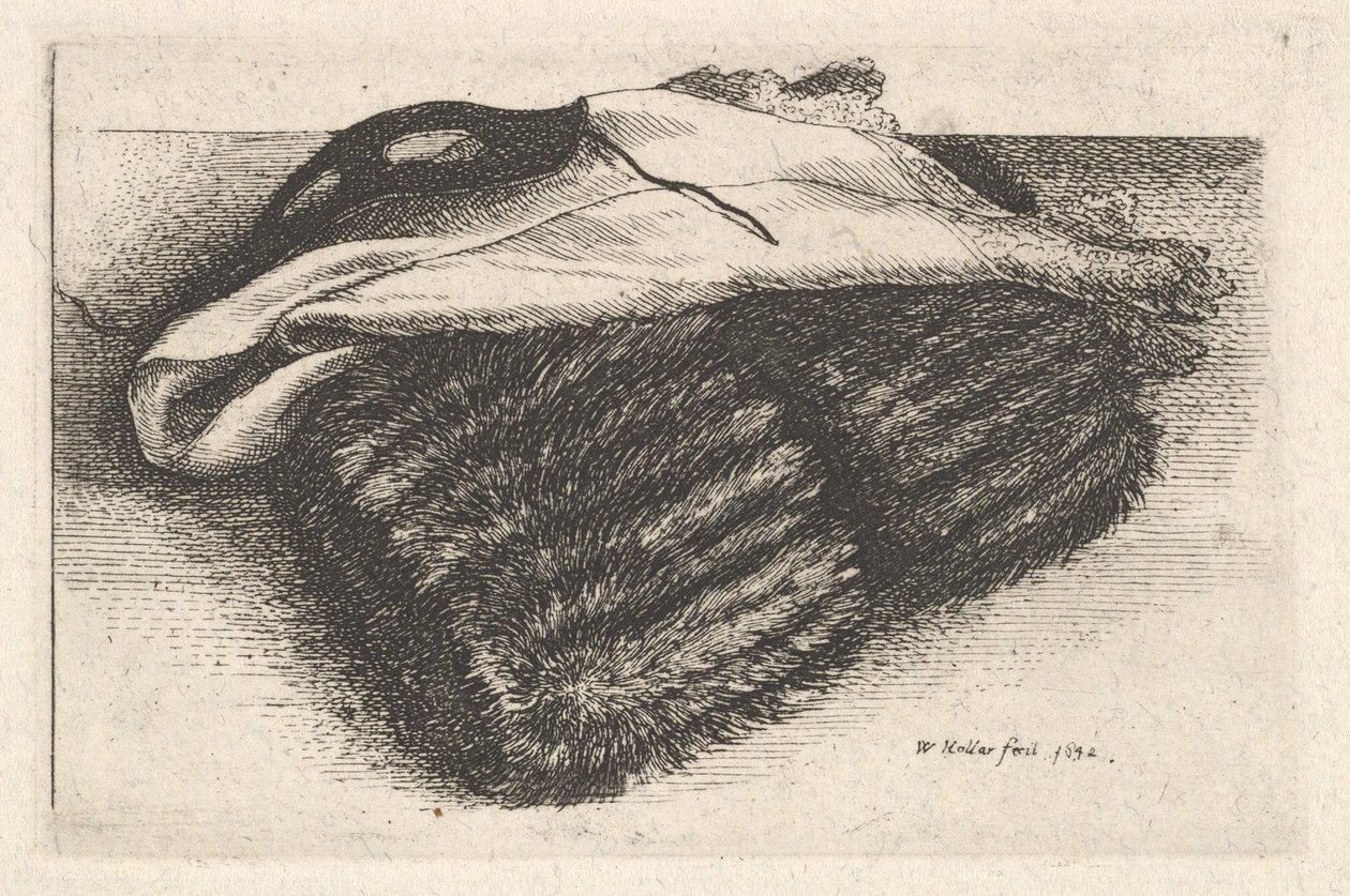 Muff, vit halsduk och mask, 1642. av Wenceslaus Hollar