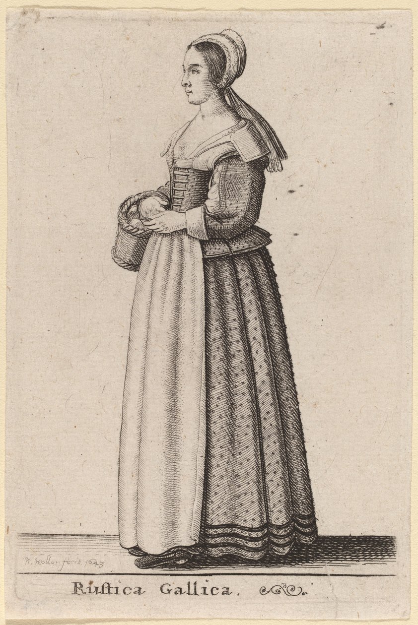fransk landsbygd av Wenceslaus Hollar