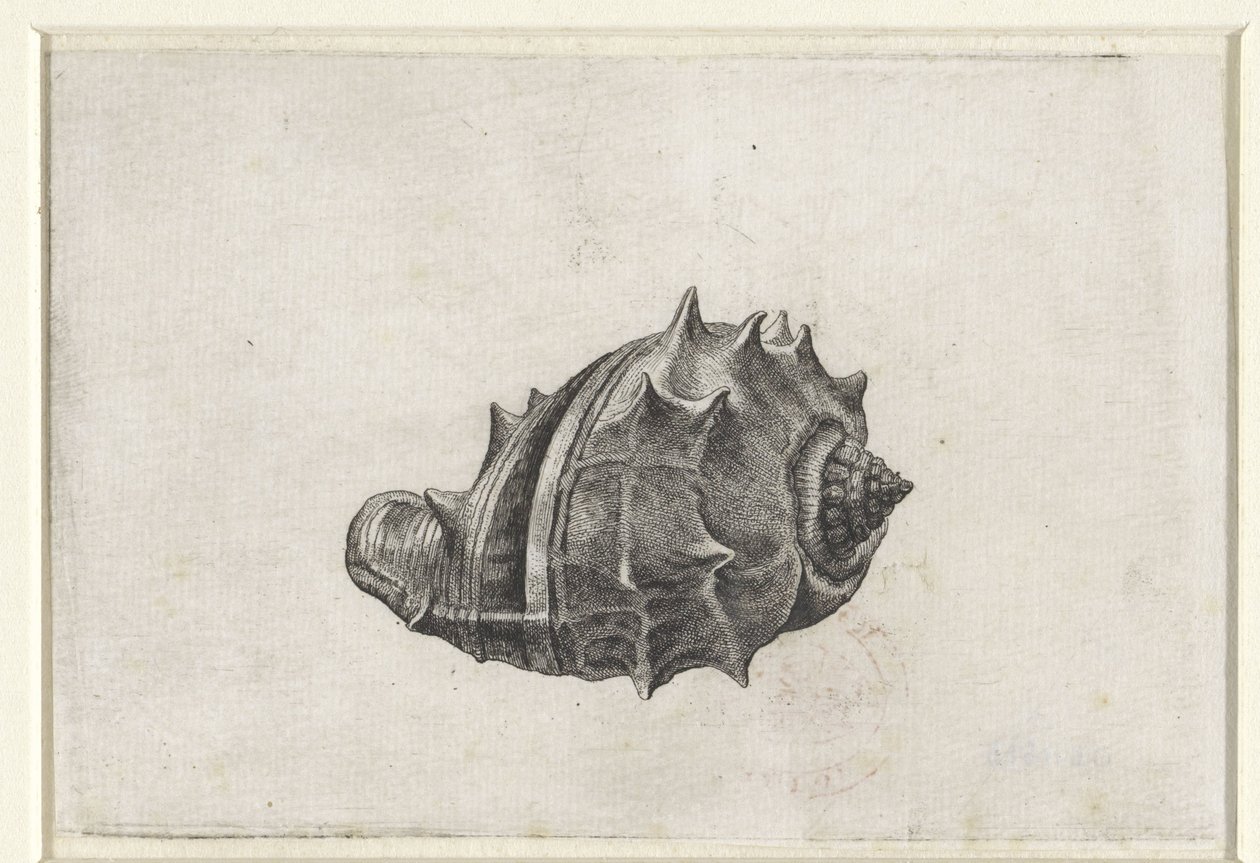 swedish av Wenceslaus Hollar