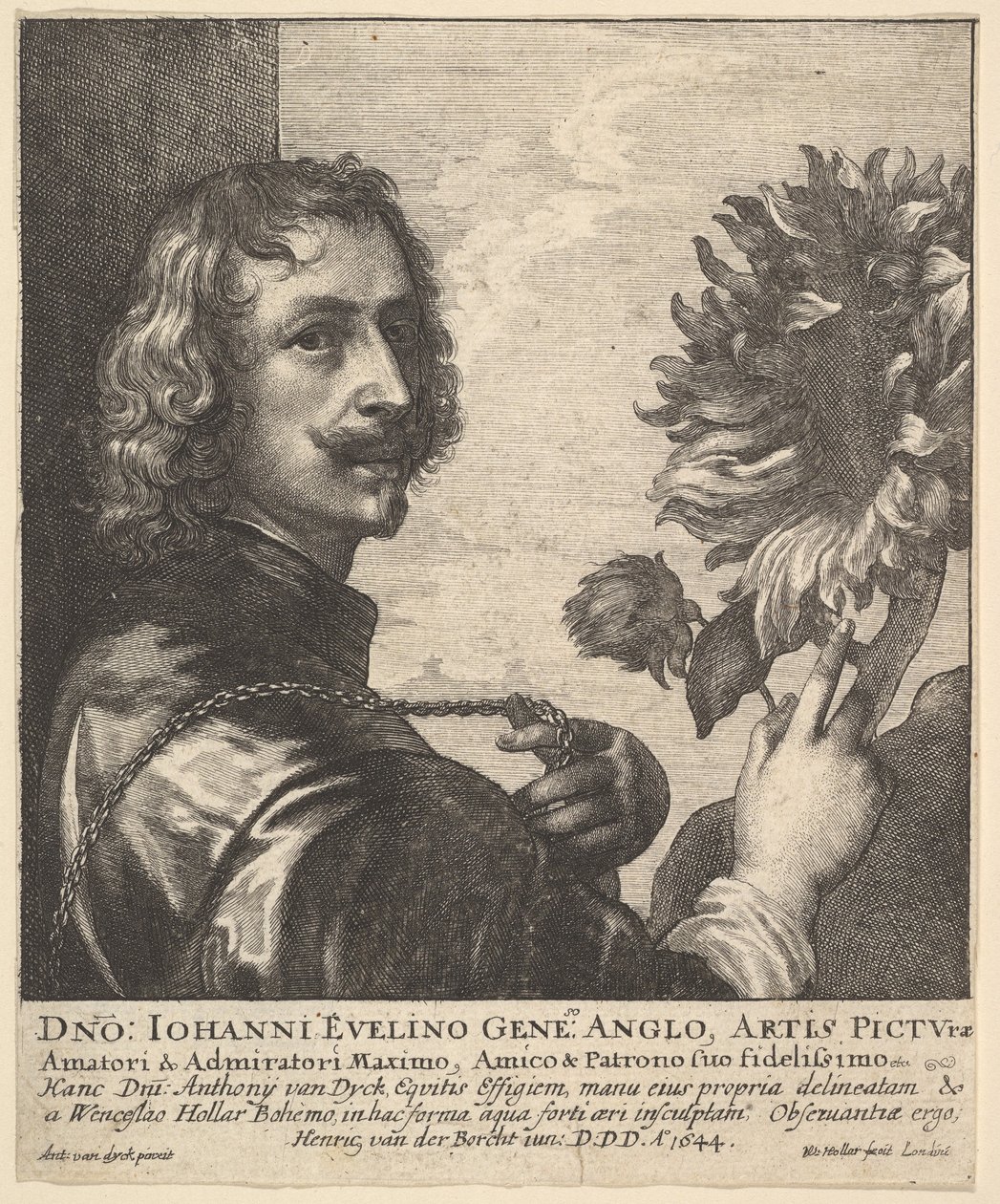 Sir Anthony van Dyck med en solros, 1644. av Wenceslaus Hollar