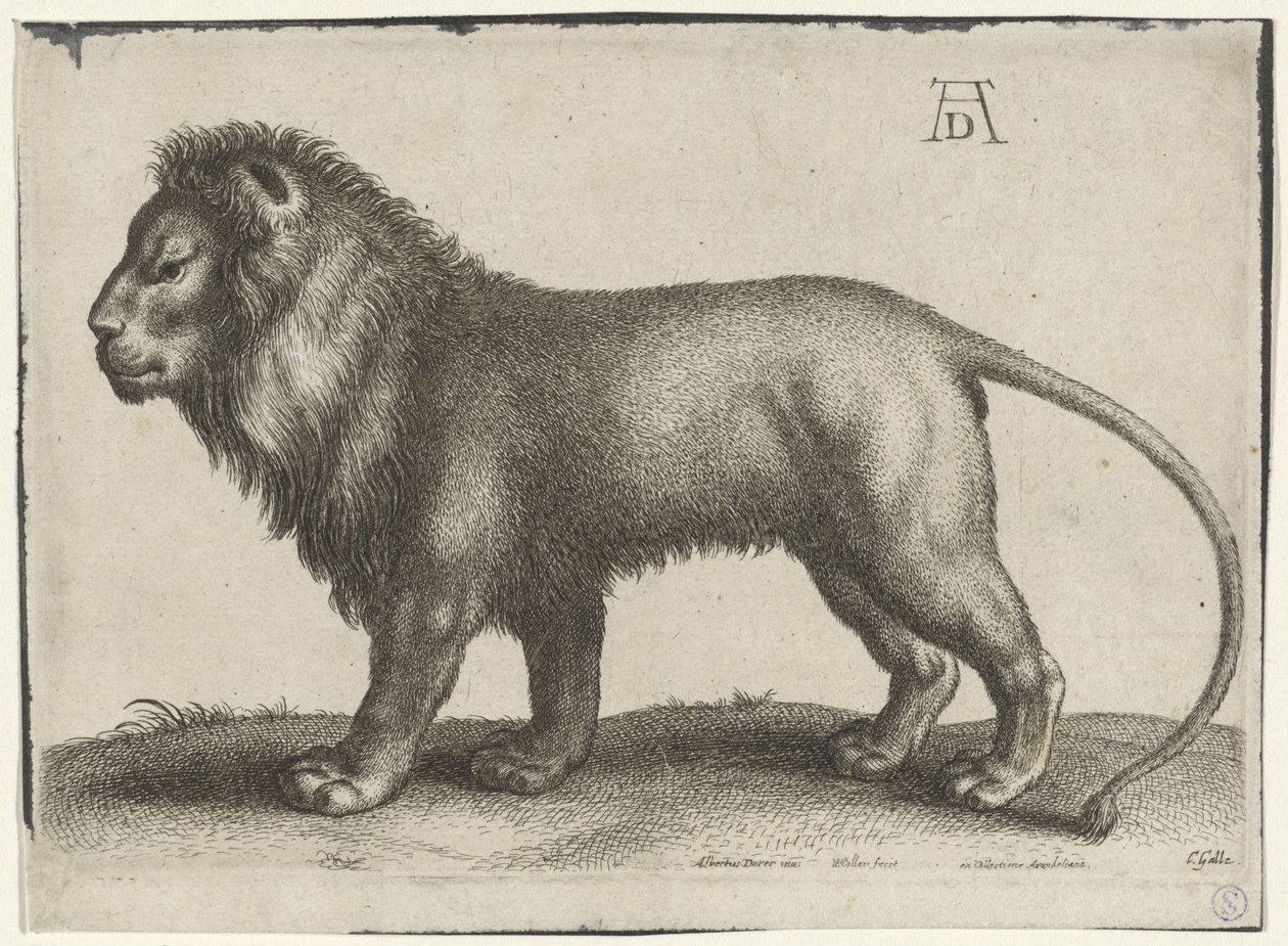 stående lejon av Wenceslaus Hollar