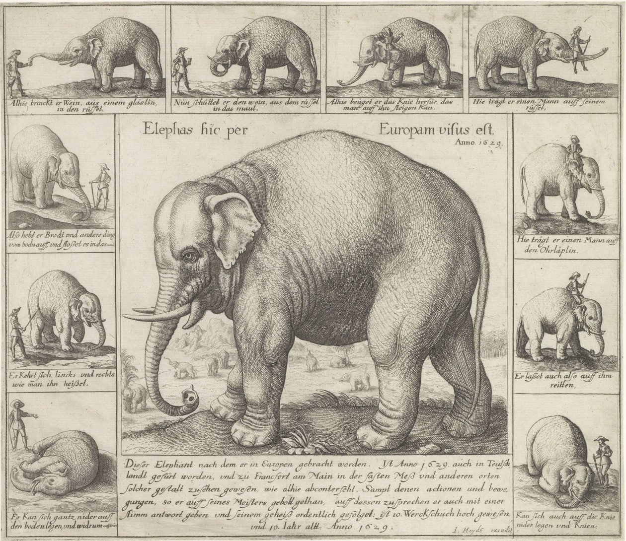 De luktar också En elefant sågs här i Europa (titel på objekt) av Wenceslaus Hollar