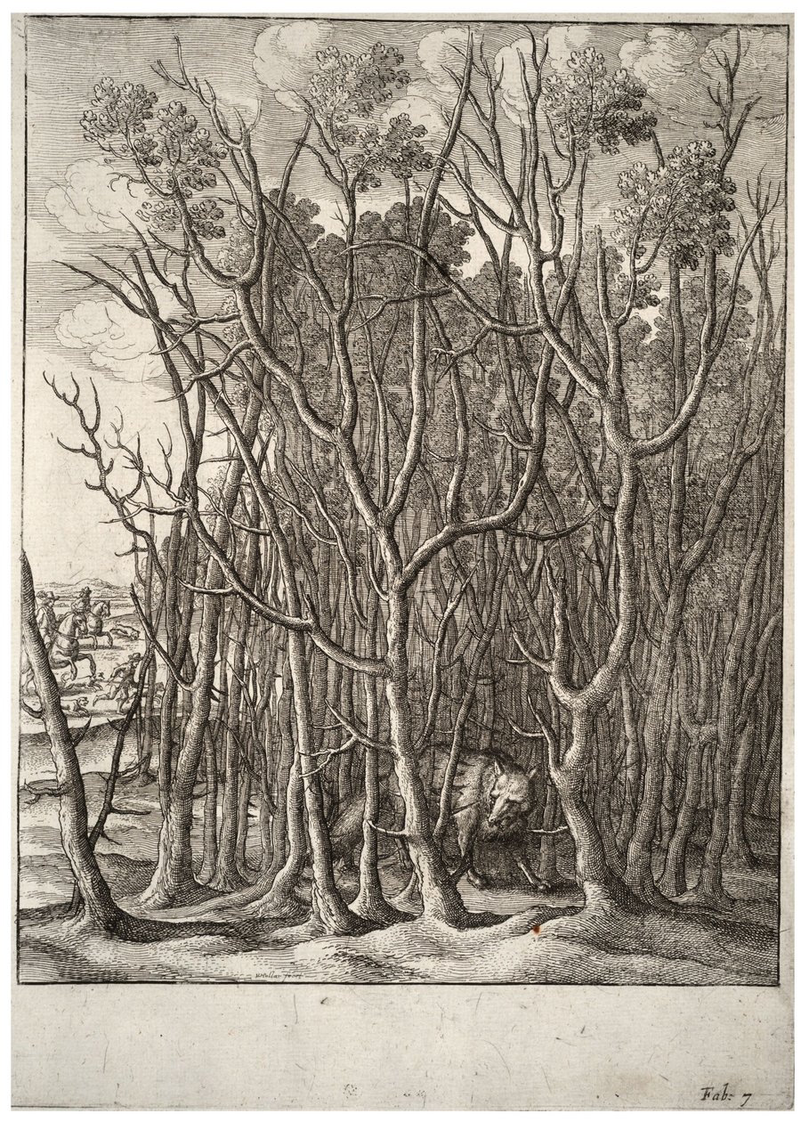 Räven och taggbusken. Tillstånd 2 av Wenceslaus Hollar