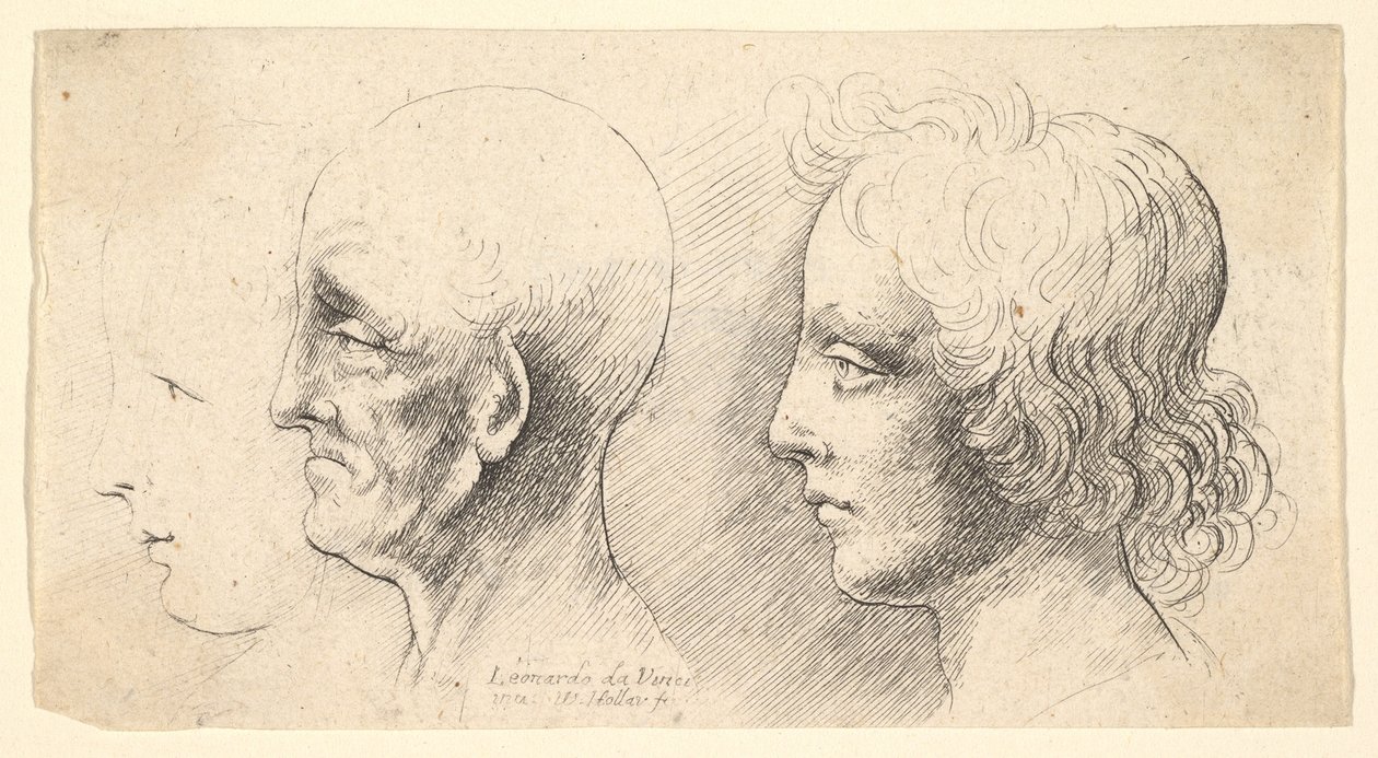 Tre profilhuvuden, ett endast i kontur, 1625-77. av Wenceslaus Hollar