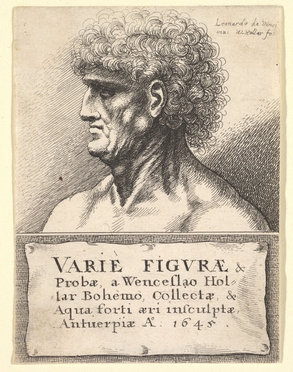 Titelsida till Variety of Figures & Probes, 1645 av Wenceslaus Hollar