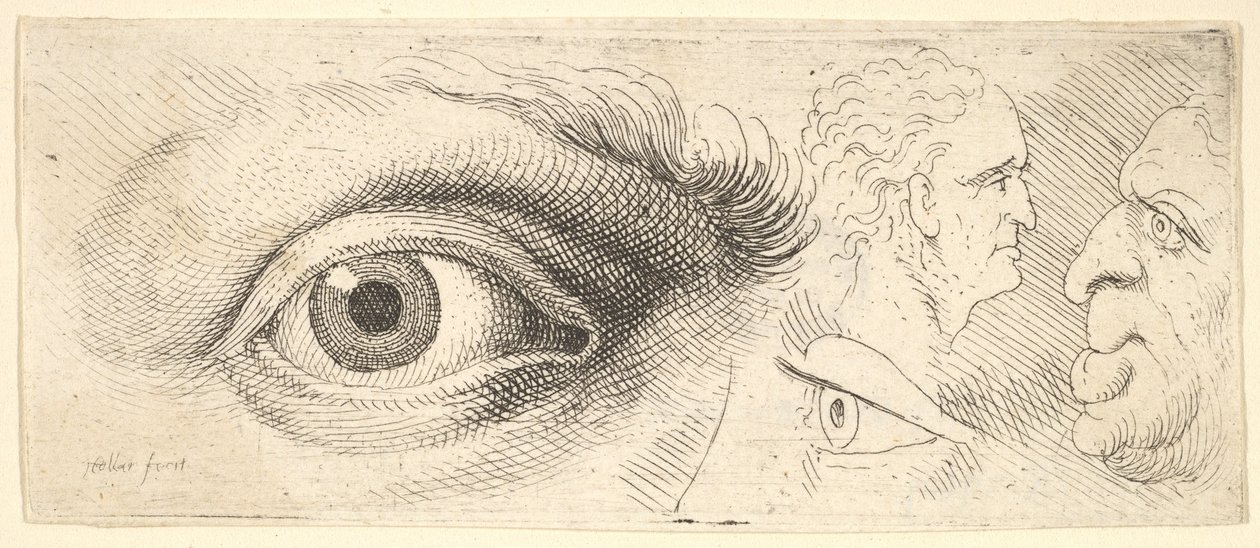 Två ögon och två huvuden, 1644-52. av Wenceslaus Hollar
