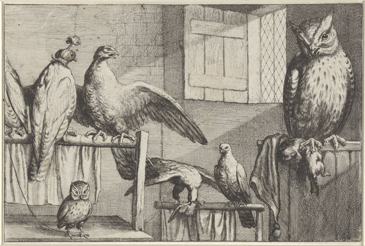 Falkar och ugglor i en lada Diversae avium arter (serietitel) Olika fåglar (serietitel) av Wenceslaus Hollar