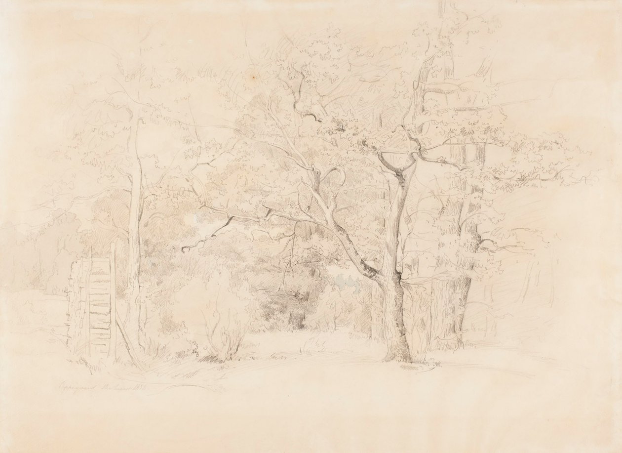 Landskap, lund av Werner Holmberg