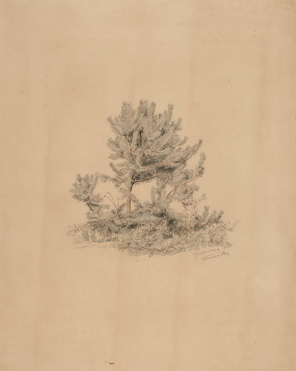 Utan titel av Werner Holmberg