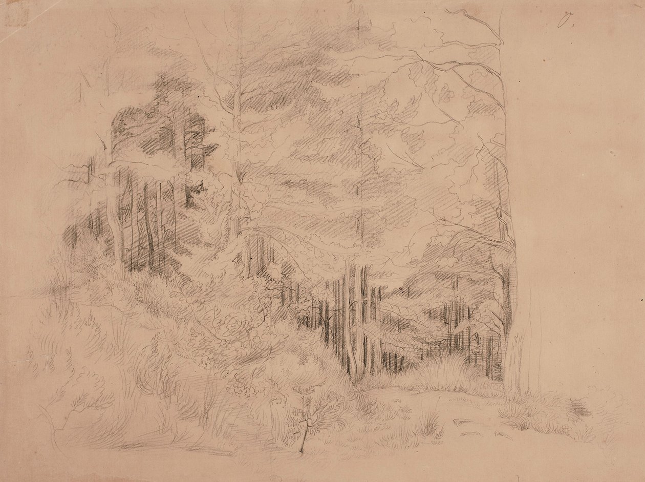 Utan titel av Werner Holmberg