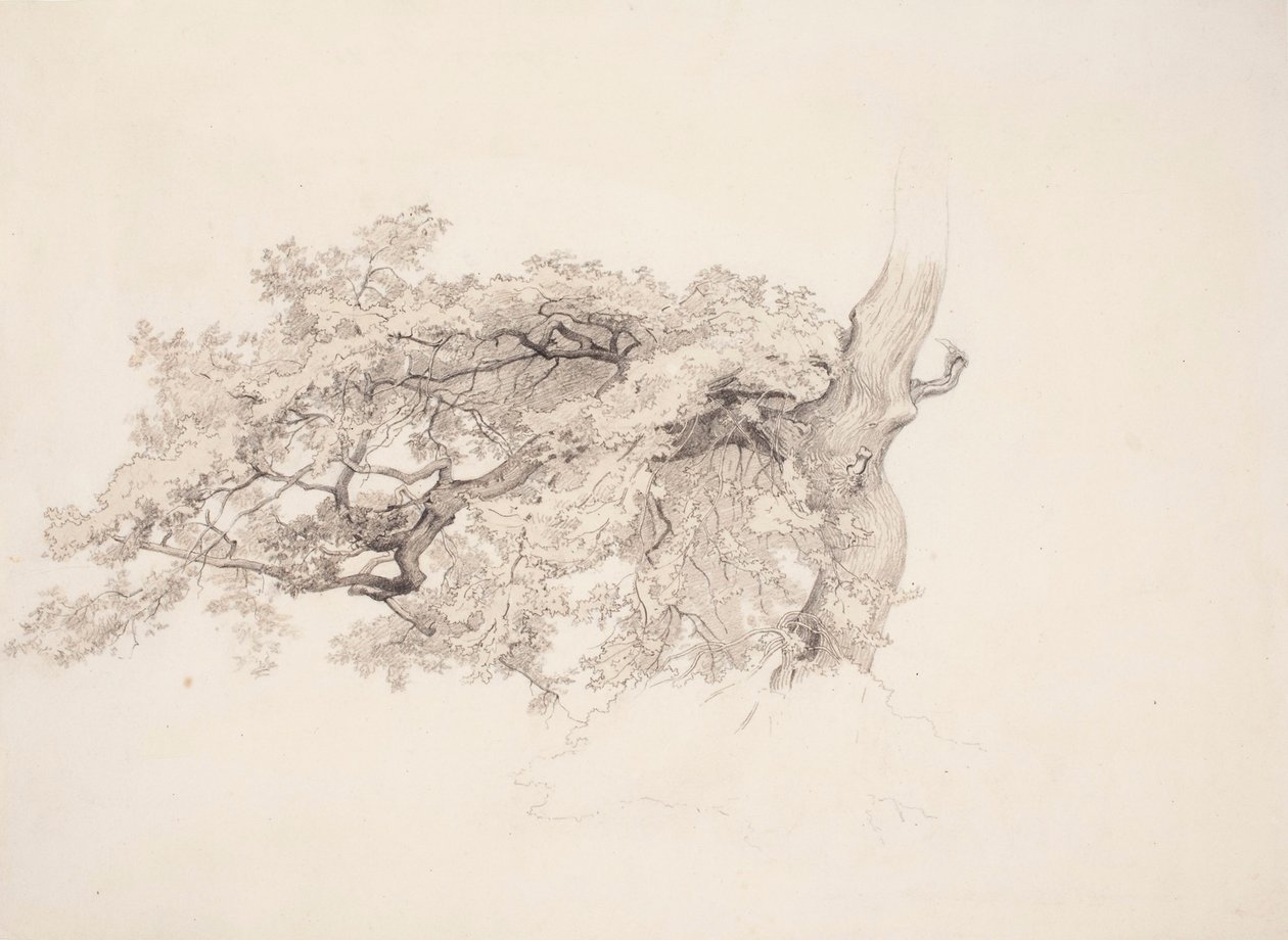 Utan titel av Werner Holmberg