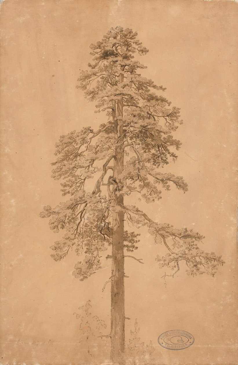 Utan titel av Werner Holmberg