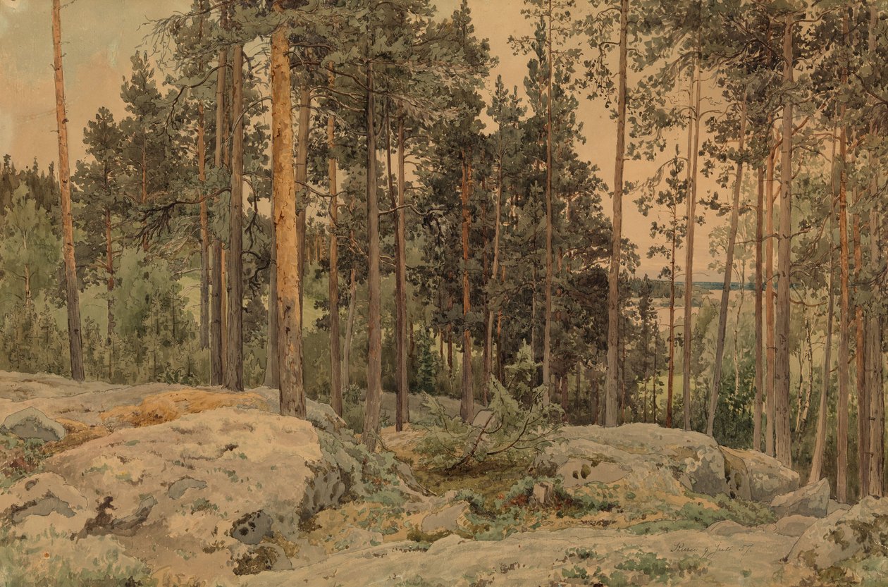 Utan titel av Werner Holmberg