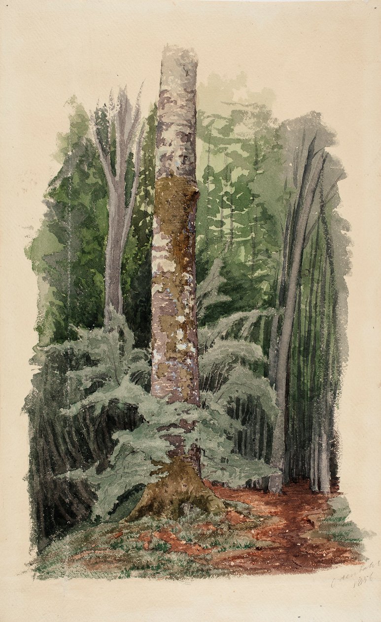 Utan titel av Werner Holmberg