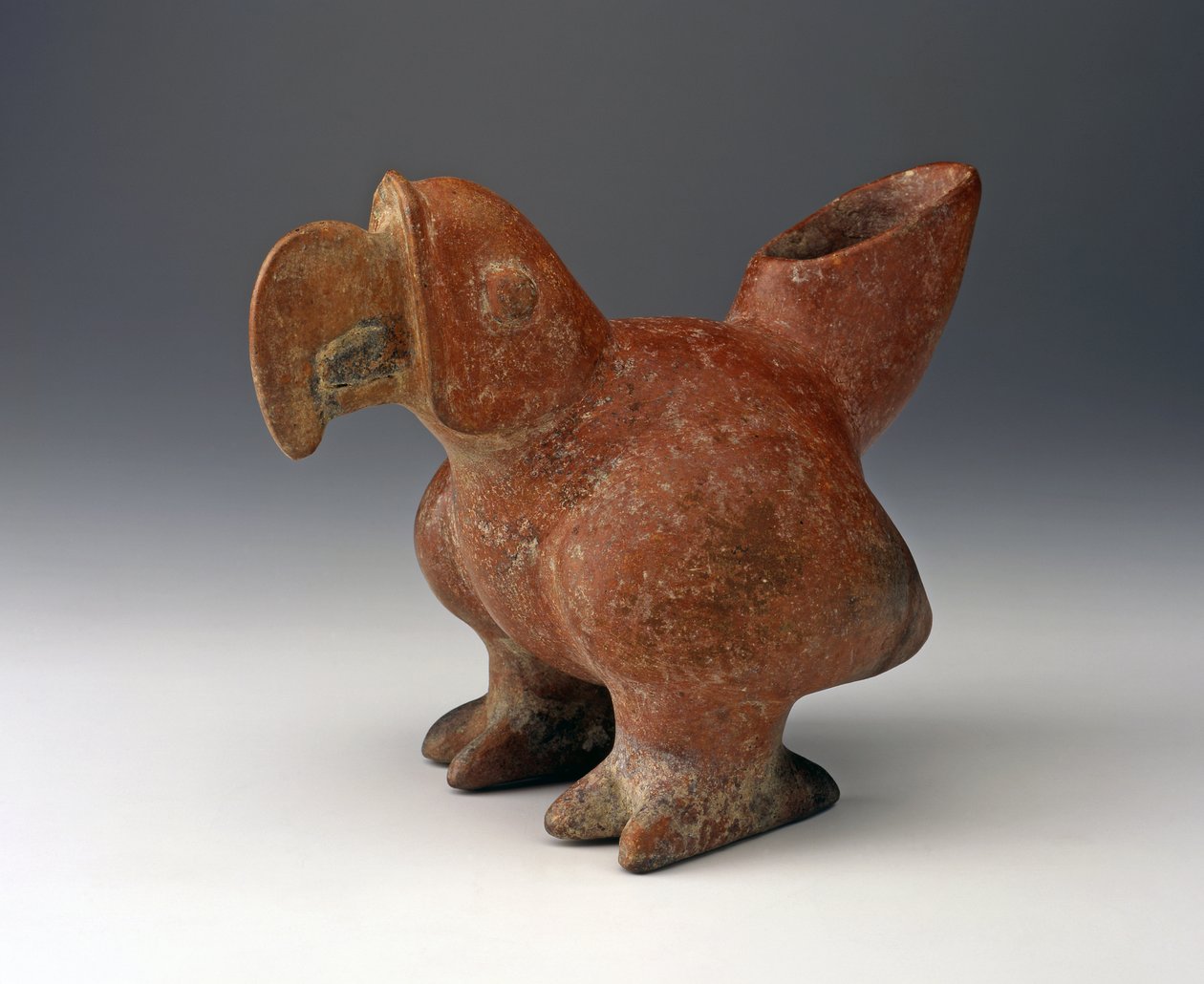 Parrot Effigy Vessel, c.200 BC - 300 C.E. (keramik med röd slipfärg) av West Mexican
