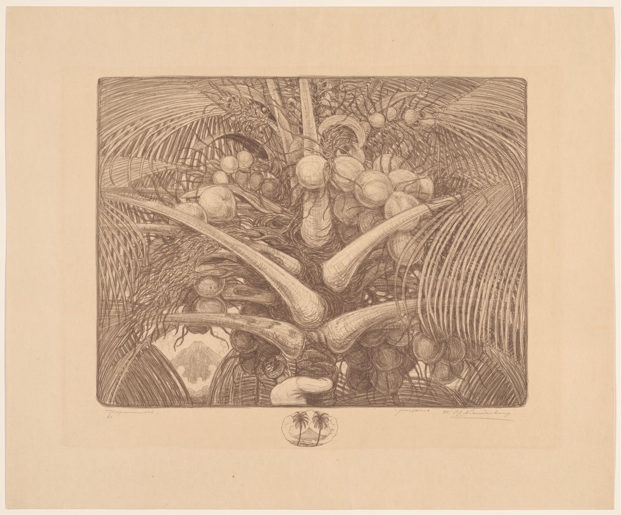 Toppen av ett kokosnötträd Tropenweelde (originaltitel på objekt) av Wijnand Otto Jan Nieuwenkamp (signed by artist)