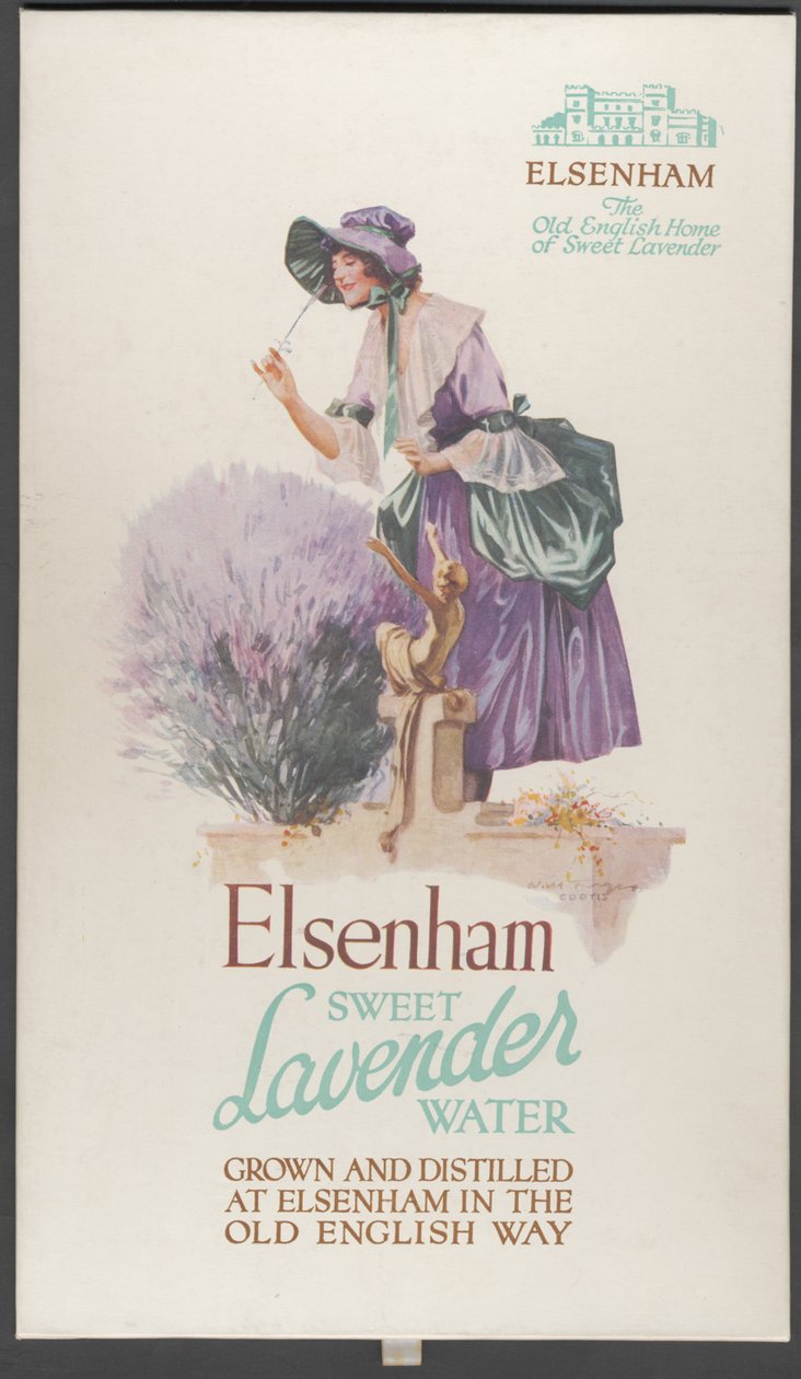 Elsenham Lavender, 1920-tal av Wilfred Fryer