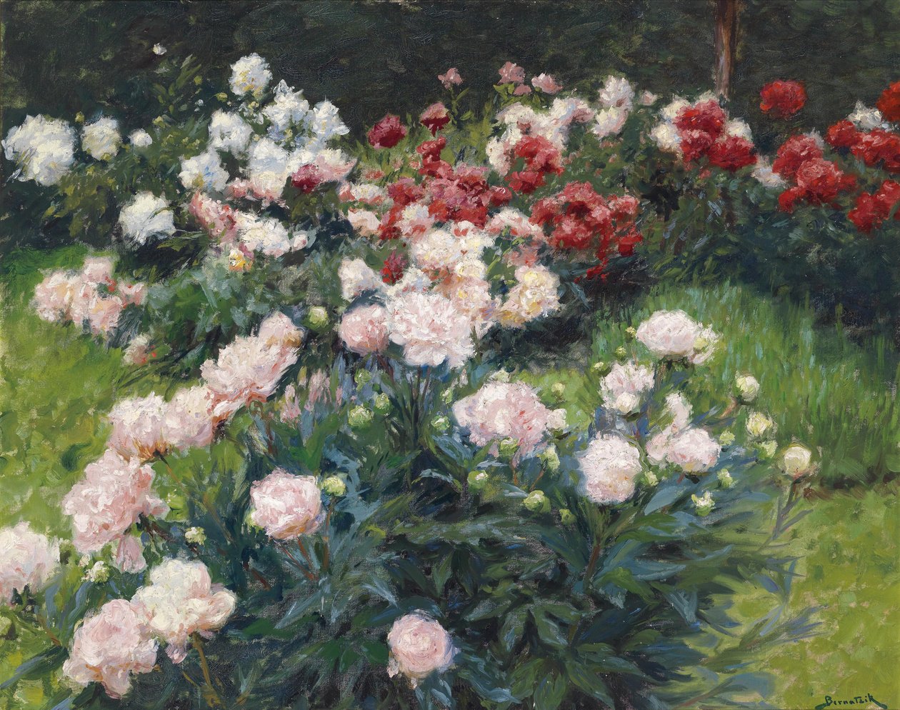Pioner av Wilhelm Bernatzik