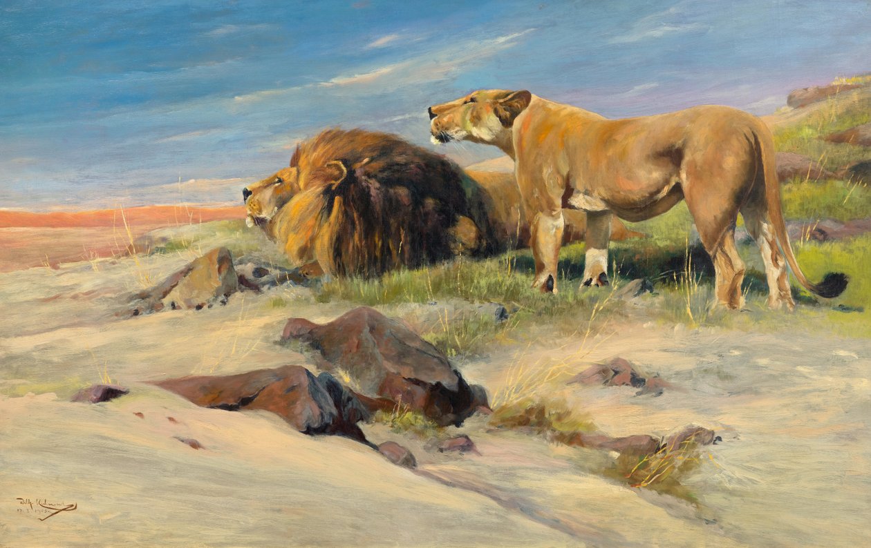 Löwenpaar in der Steppe av Wilhelm Kuhnert