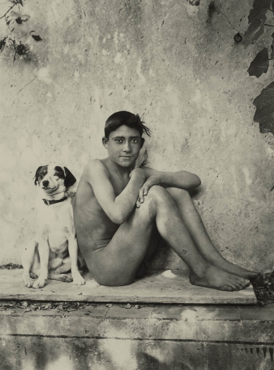 Studie av en naken pojke med hund, ca 1901 av Baron Wilhelm von Gloeden