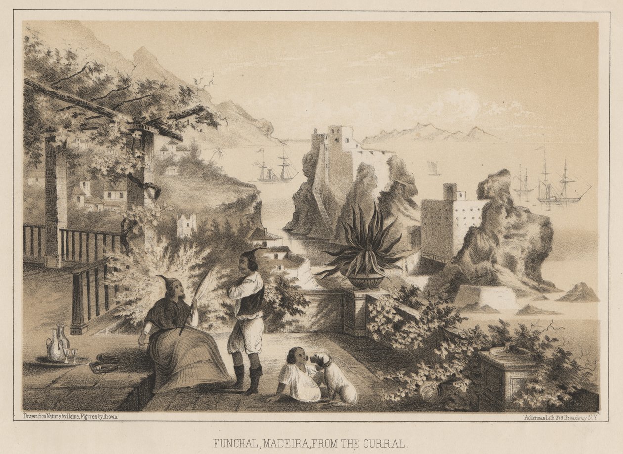 Funchal, Madeira, från Corral, 1885 av Wilhelm Joseph Heine