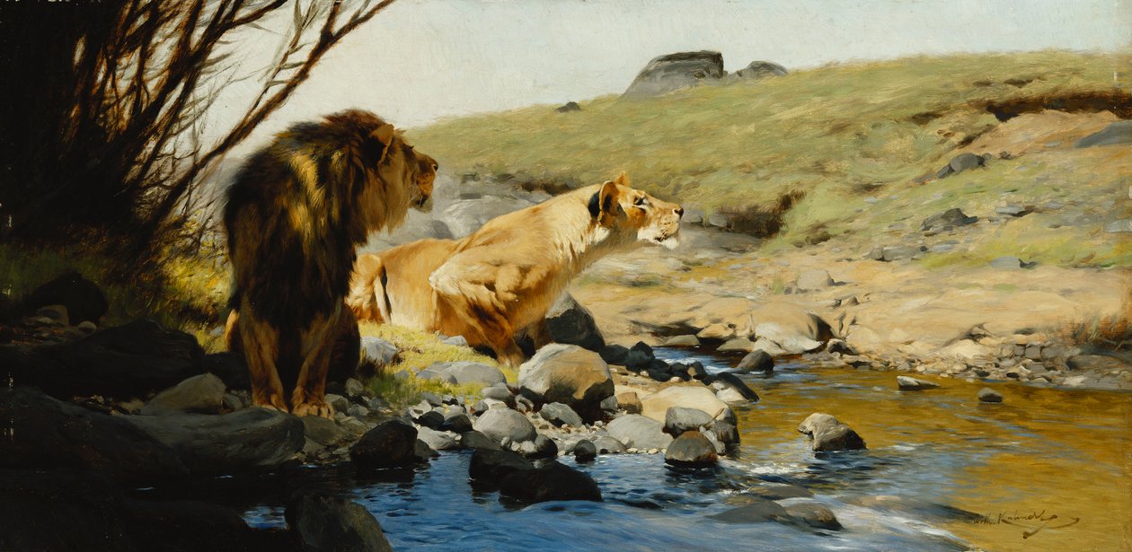 Ett lejon och lejoninna vid en ström, av Wilhelm Kuhnert
