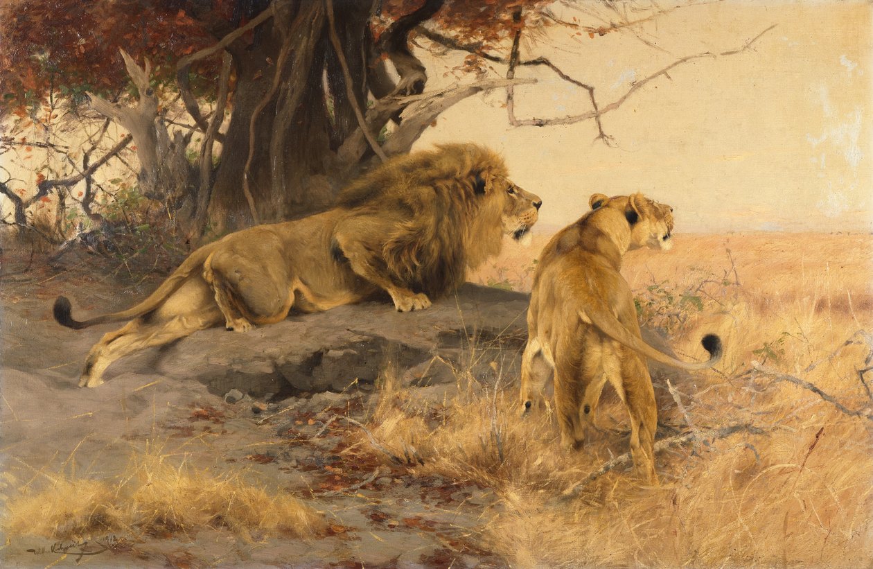 Ett lejon och en lejoninna i Savannah av Wilhelm Kuhnert