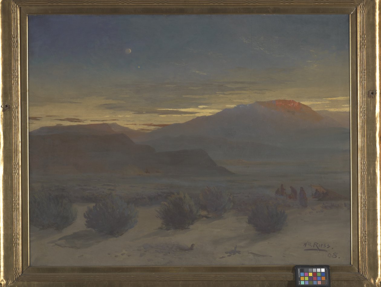 Wyomingöknen av Wilhelm Riess