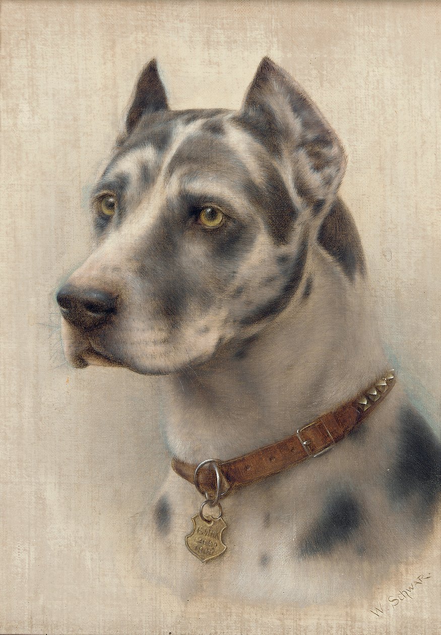 The Head of a Doberman (olja på duk) av Wilhelm Schwar