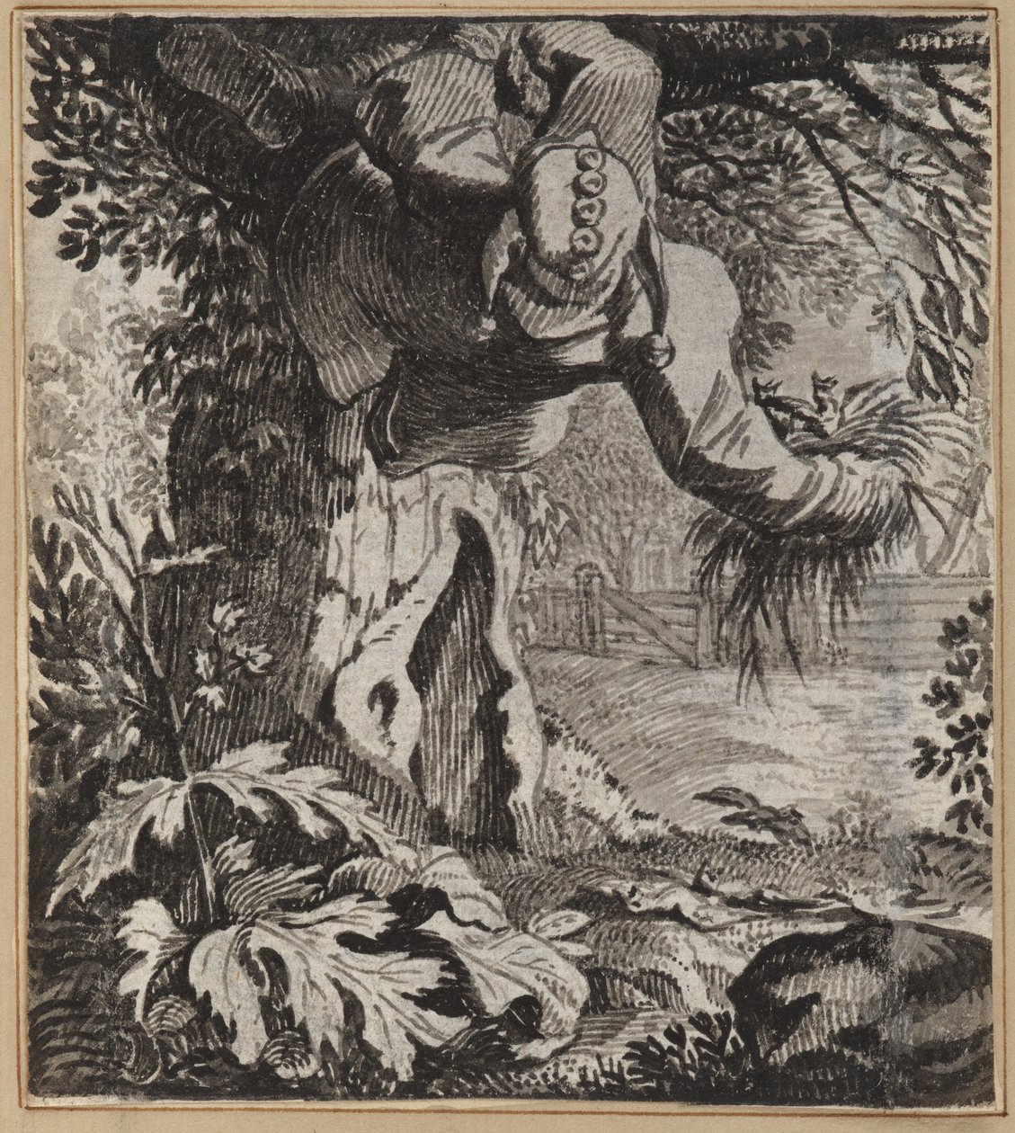 Den djärva dåren av Wilhelm Stettler