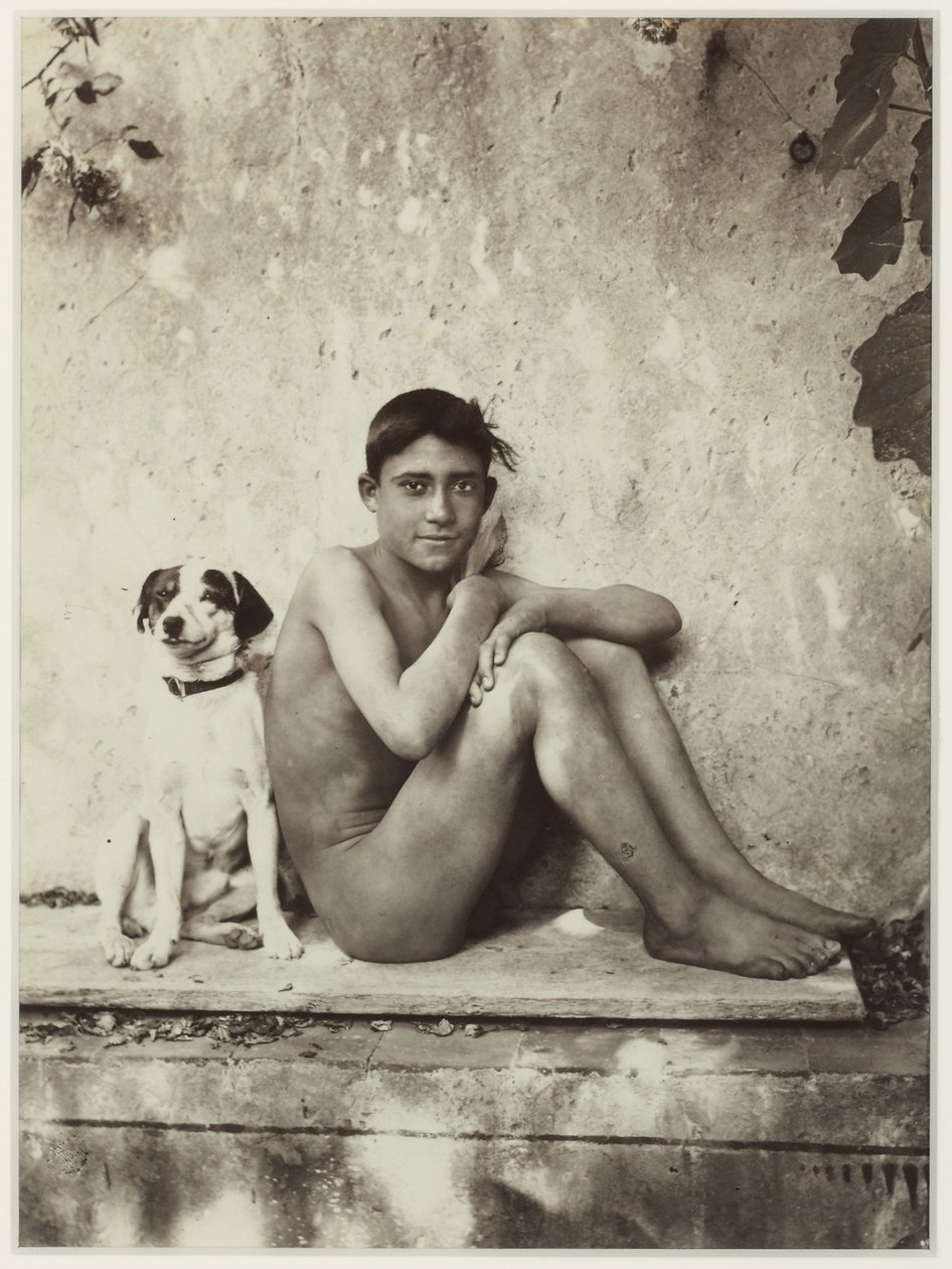 Boy and His Dog, Taormina, Italien, ca 1900 (albumintryck) av Baron Wilhelm von Gloeden