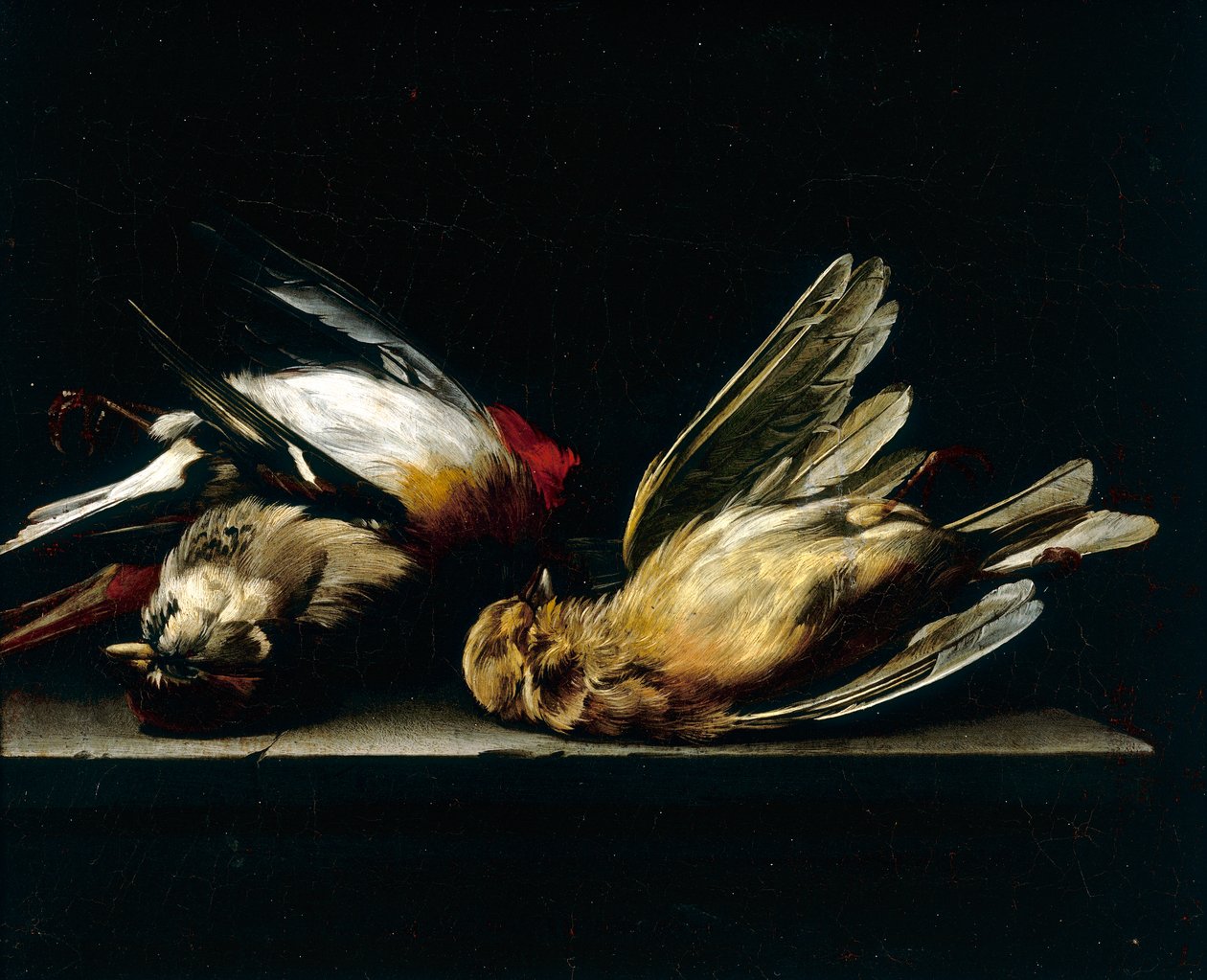 Døde små fugle av Willem van Aelst