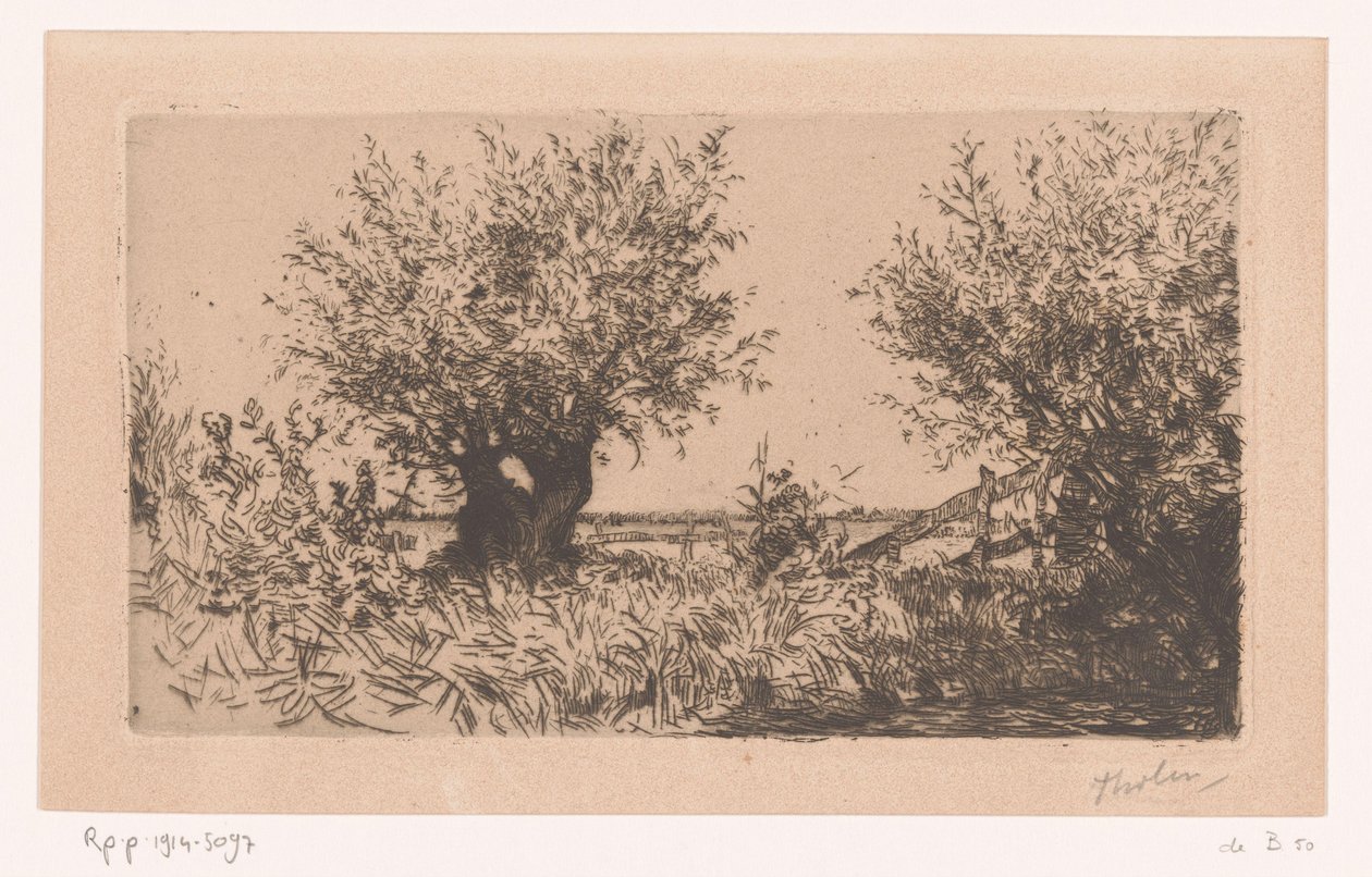 Landskap med äng, pilvid och staket Willows (Kaag) (originaltitel) av Willem Bastiaan Tholen (signed by artist)