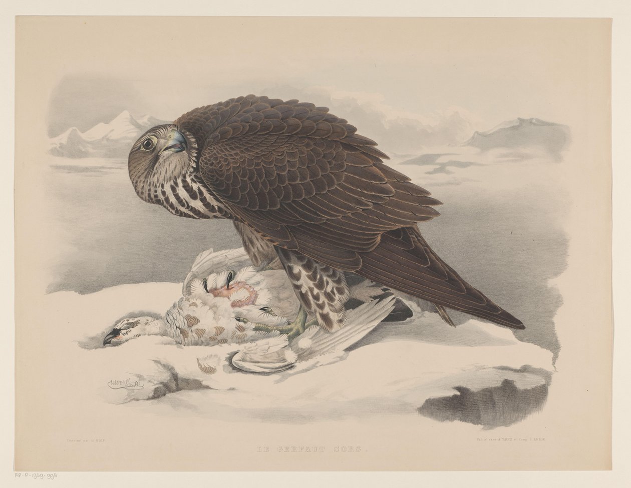 Gyrfalk med ripa Le gerfaut sors (titel på objekt) av Willem Bastiaan van Wouw