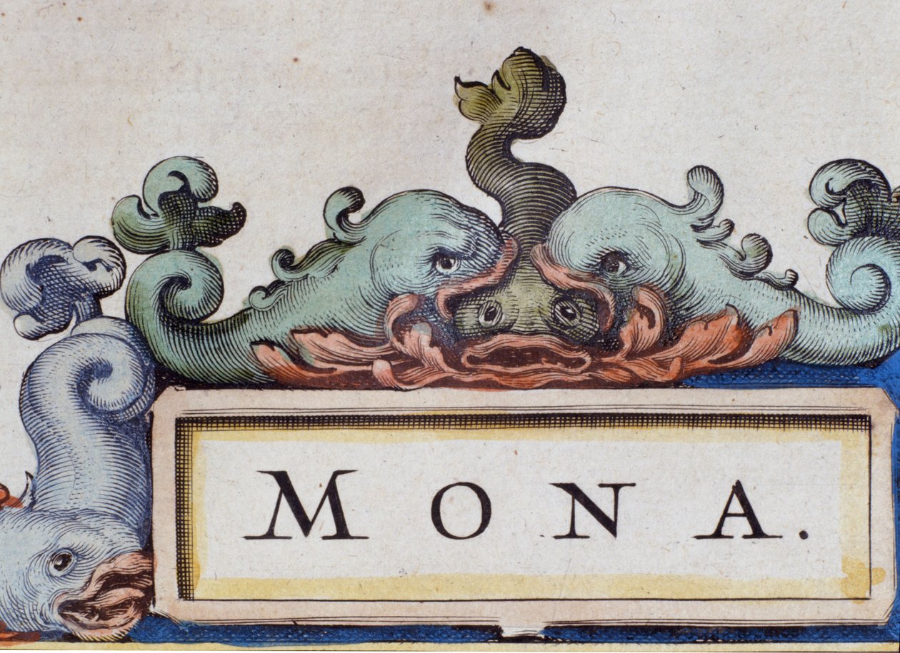 Delfiner, frontispice i Roquaille-stil. Detalj av Atlas di W. Blaeu, Amsterdam 1650. av Willem Blaeu
