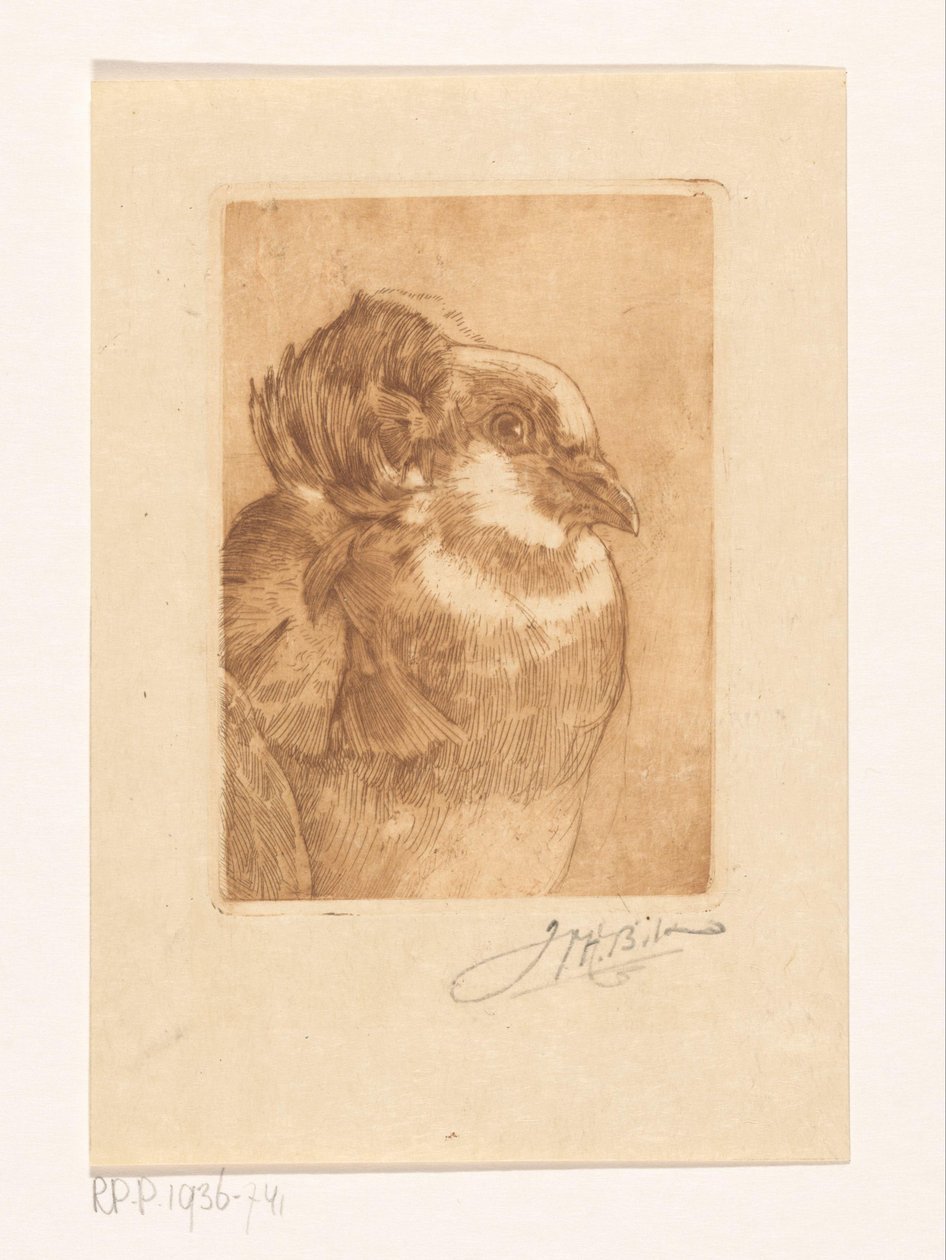 Studie av en duva av Willem Hendrik Bik (signed by artist)