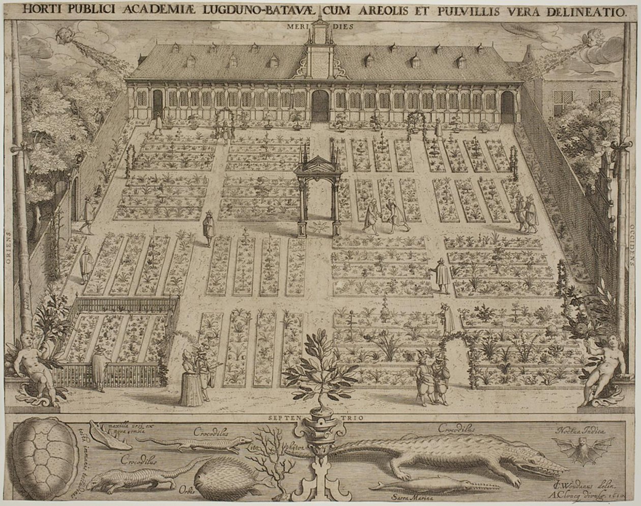 Den botaniska trädgården i Leyden av Willem Isaaksz Swanenburgh
