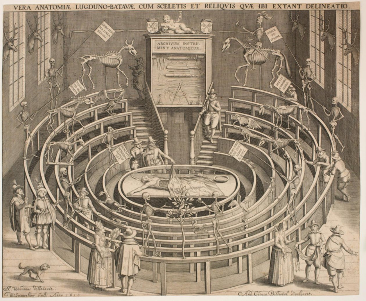 Hall av den anatomiska teatern i Leyden av Willem Isaaksz Swanenburgh