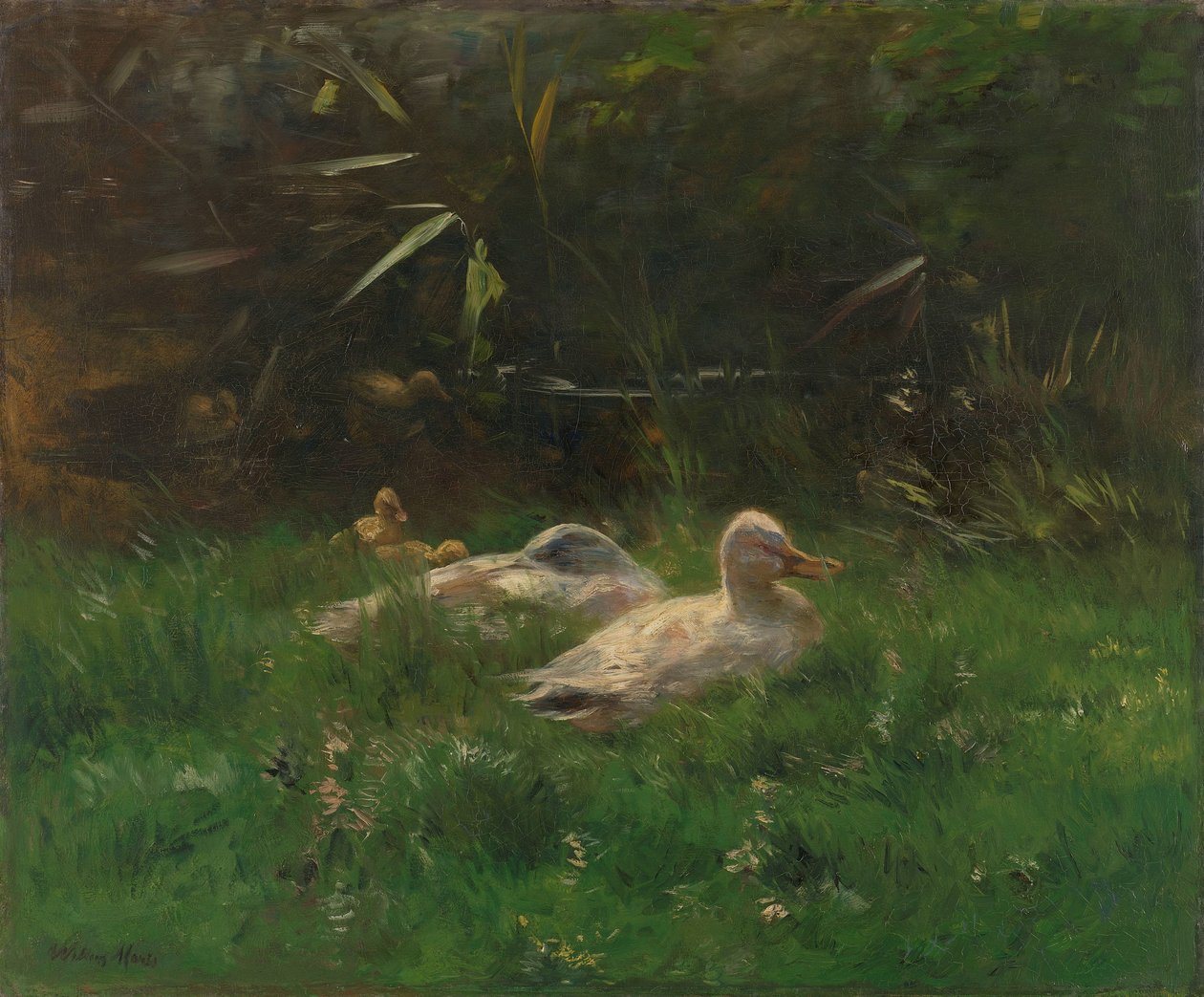 ankor av Willem Maris