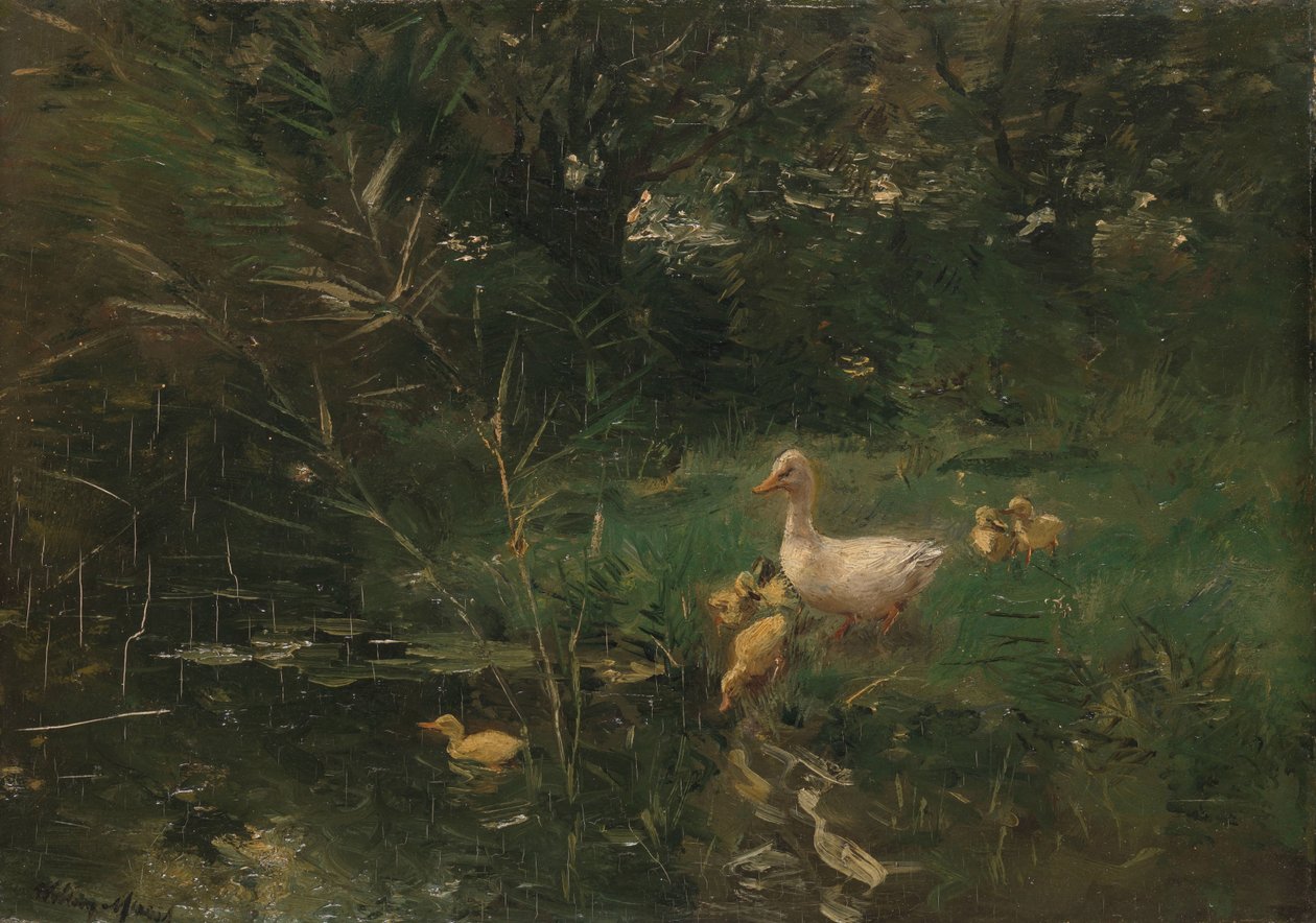 ankungar av Willem Maris