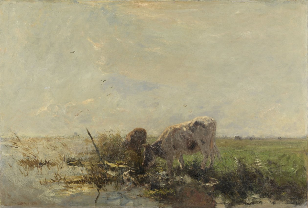 Kor på en pöl av Willem Maris