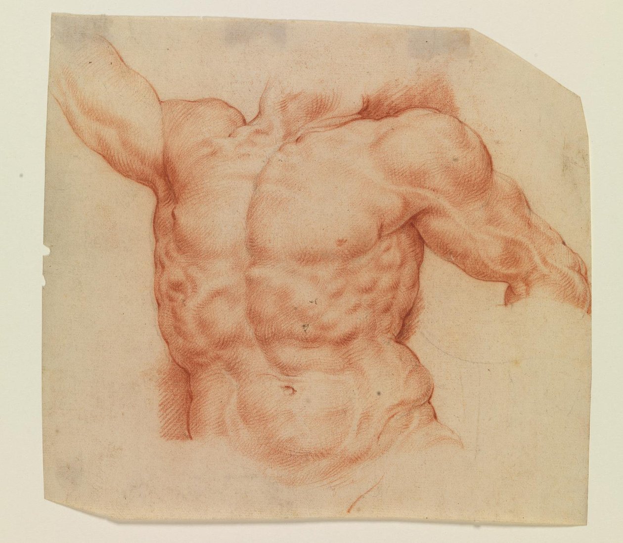 Framifrån av Laocoons torso av Willem Panneels