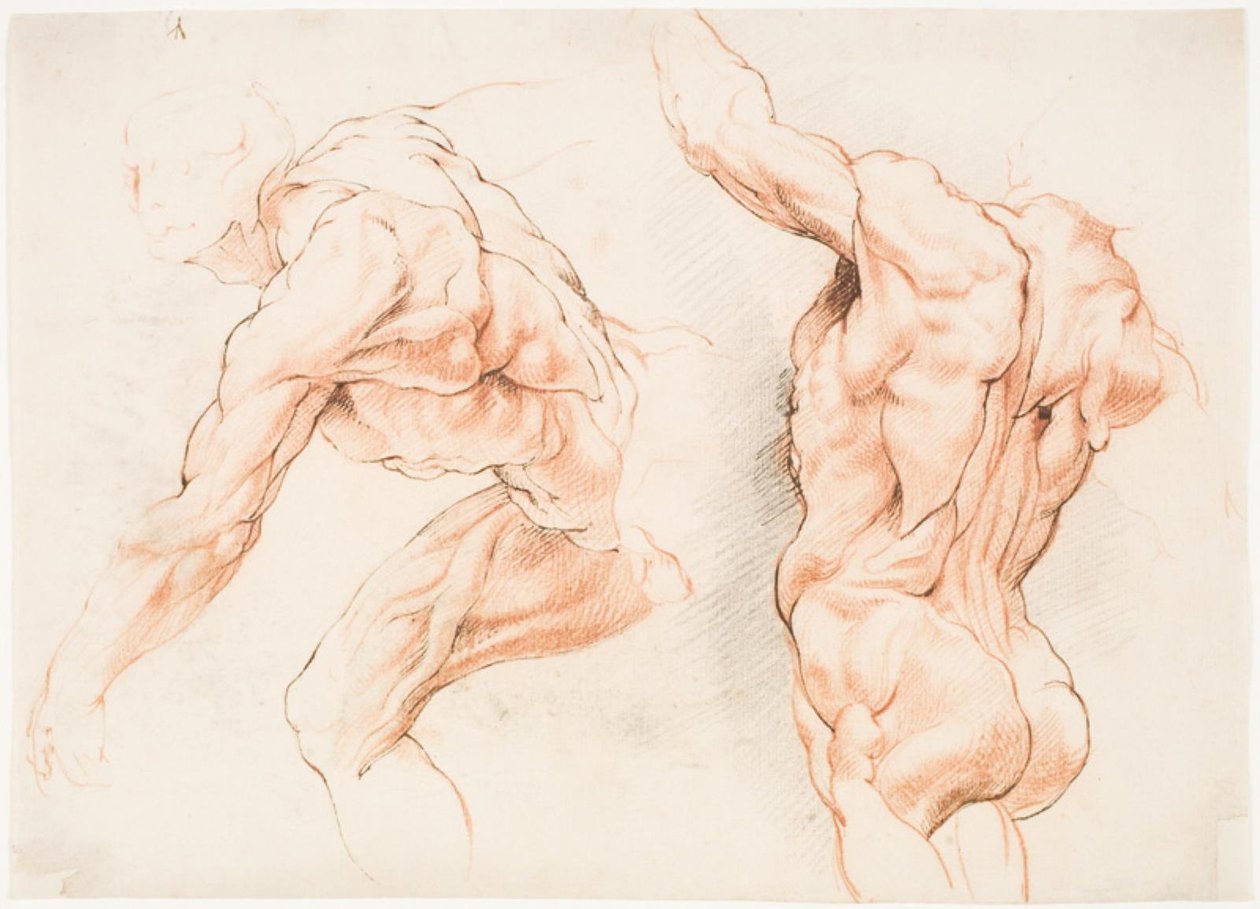 Två anatomiska studier av en man som lutar åt vänster och en annan sedd bakifrån med höjd arm (écorché) av Willem Panneels