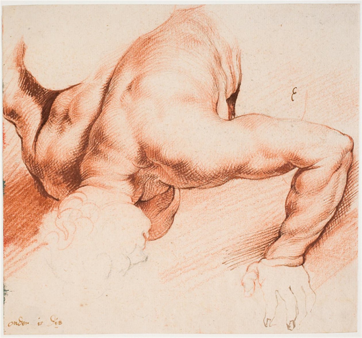 Brottare. Antik skulpturgrupp. Nedre figur av Willem Panneels